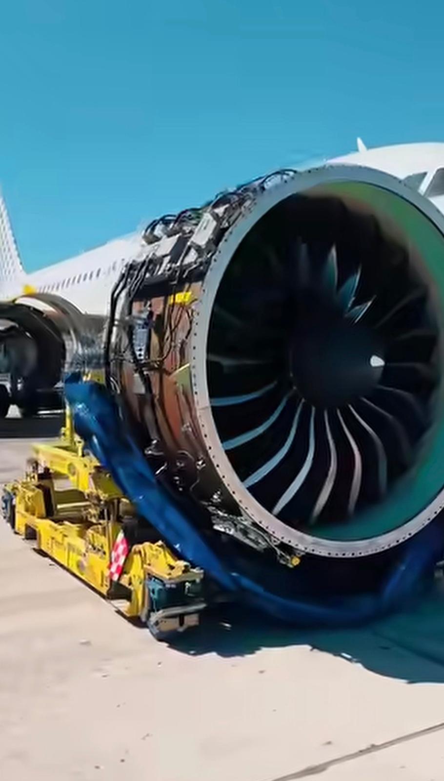 Aircraft engineers performing maintenance in a hangar